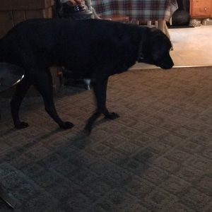 Meet your Posher, Tim