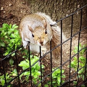 Meet your Posher, Mimi