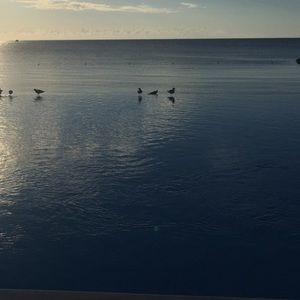 Meet your Posher, Fashion