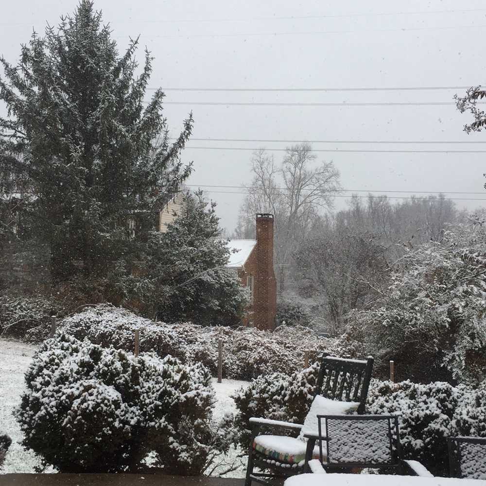 It’s a snow day! Snow day means sale!