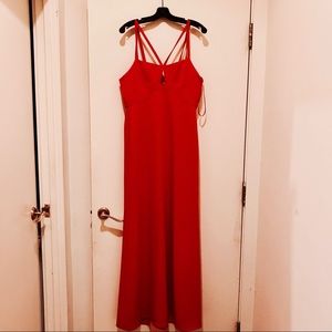 BCBG Floor Length Formal Dress