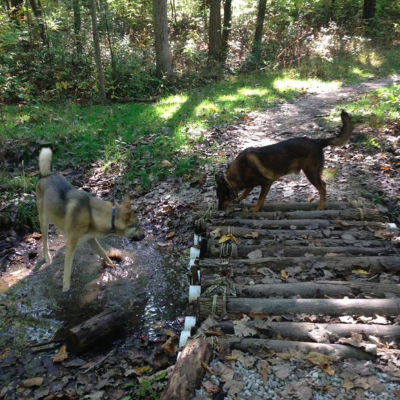 Meet the Posher - Picture 5 of 5