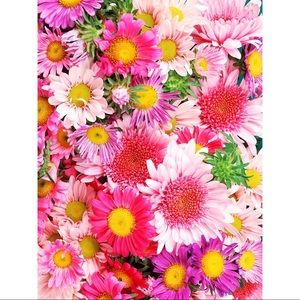 Meet your Posher, Marina