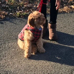 Meet your Posher, Gina