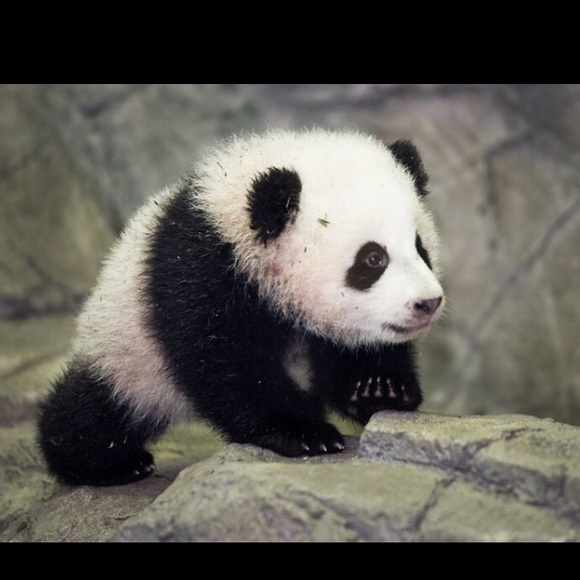 Meet your Posher, Jordan - Picture 1 of 1