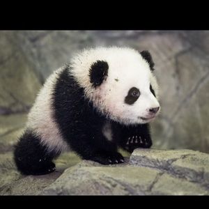 Meet your Posher, Jordan