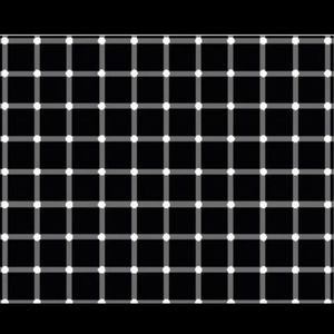 Meet your Posher, Garrett