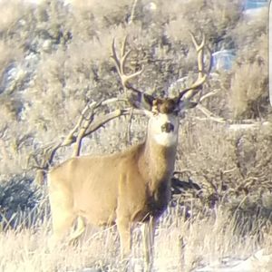 Meet your Posher, Braden