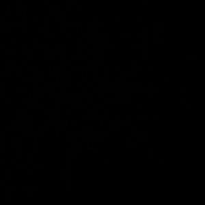 Meet your Posher, Cayden