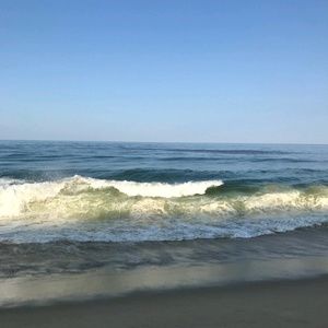 Meet your Posher, Robin