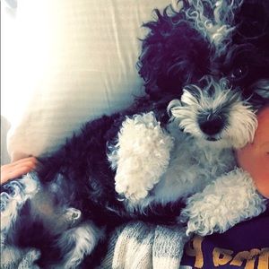 Meet your Posher, Caitlin