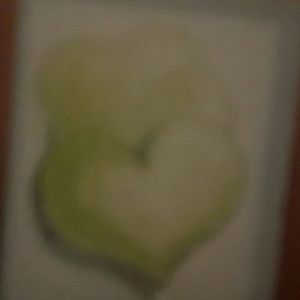 Meet your Posher, Nina