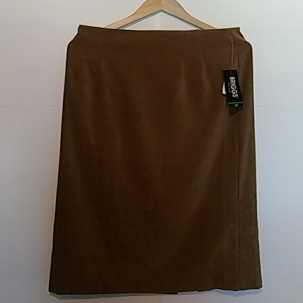 Briggs Stretch Skirt Zipper in Back
