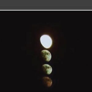 Meet your Posher, Gannon