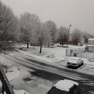 Meet your Posher, Cindy