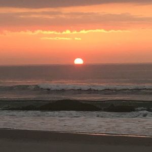 Meet your Posher, Shellie