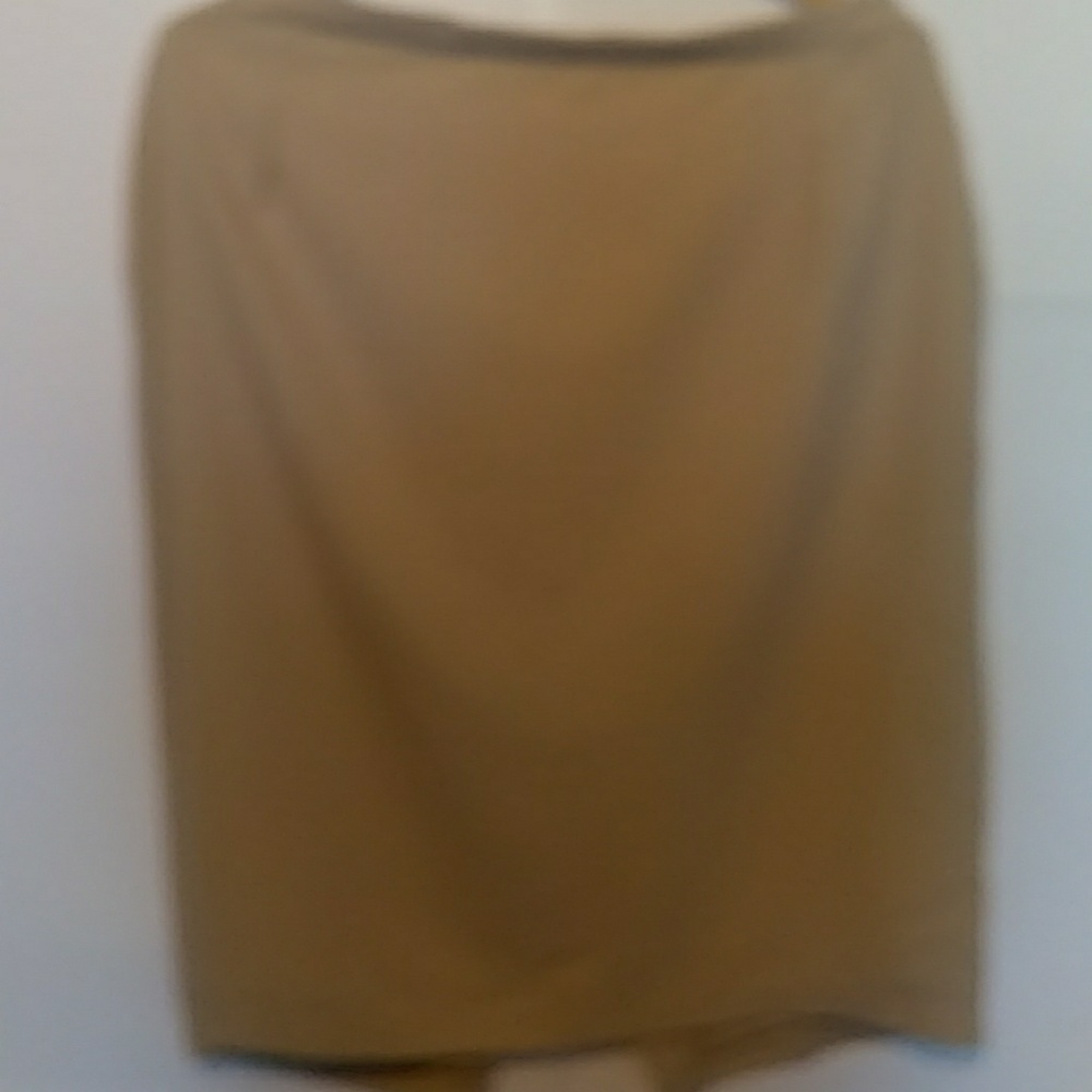Tan Skirt with lining. Size 20 - (34 inch long)