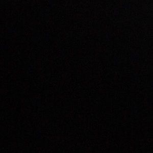 Meet your Posher, Maddie