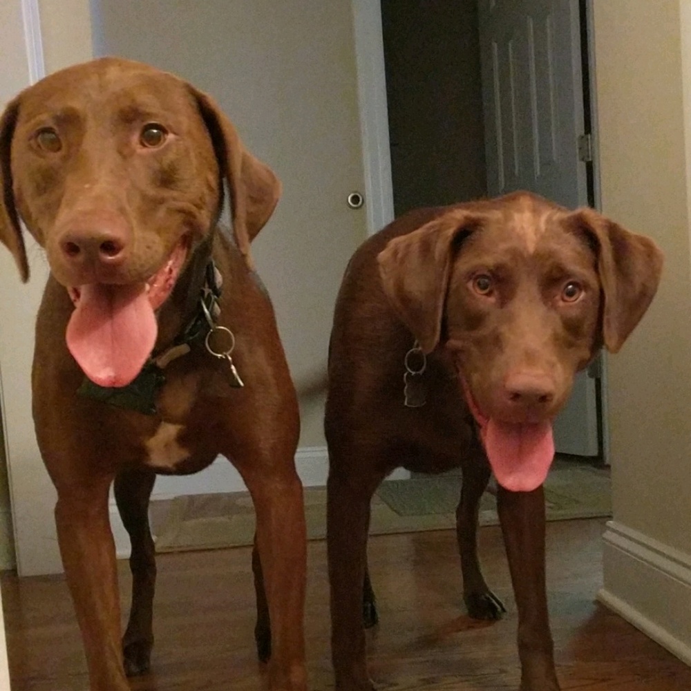 Meet your Posher, Nicol