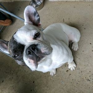 Meet your Posher, Anastasia