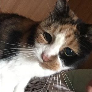 Meet your Posher, Maddi