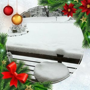 Meet your Posher, Gloria