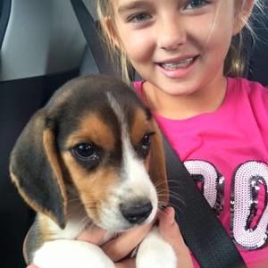 Meet your Posher, Julia