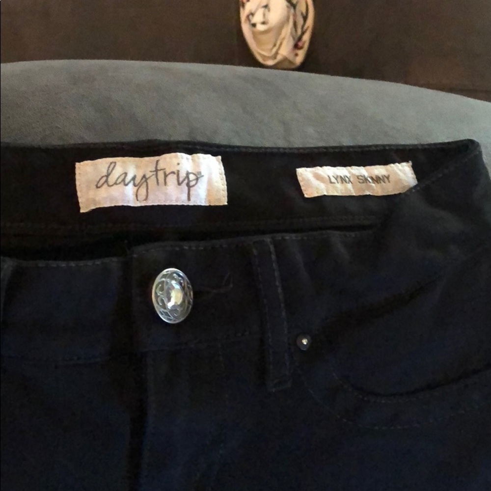 Daytrip Skinny Black Pants