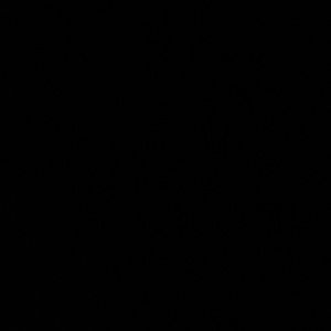 Meet your Posher, Donyeah