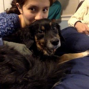 Meet your Posher, Constellation