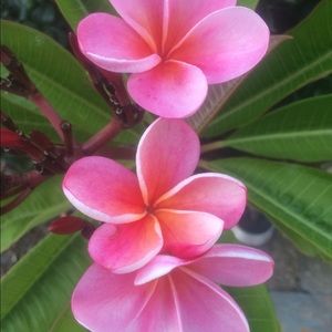 Meet your Posher, Margaret