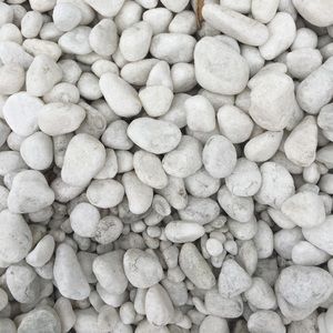 Meet your Posher, Ava