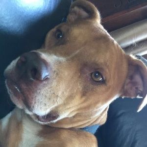 Meet your Posher, Madison