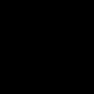 Meet your Posher, Cory