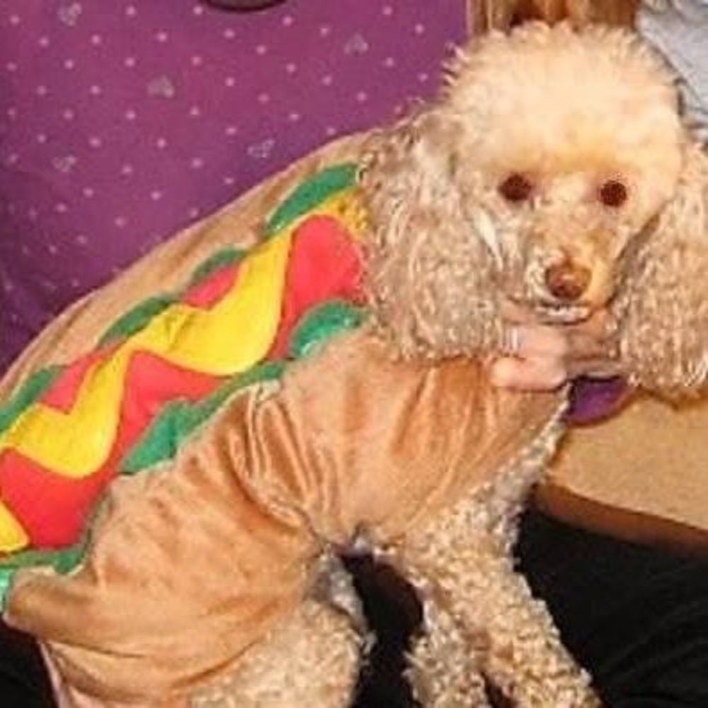 Meet your Posher, Lynda