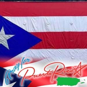 Meet your Posher, Desiree