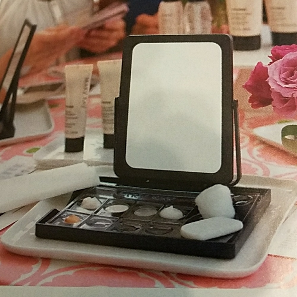 Cosmetic mirror w mesh case