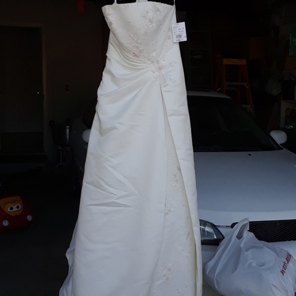 Bridal Gown NWT Tiara NWT and Pettit Coat
