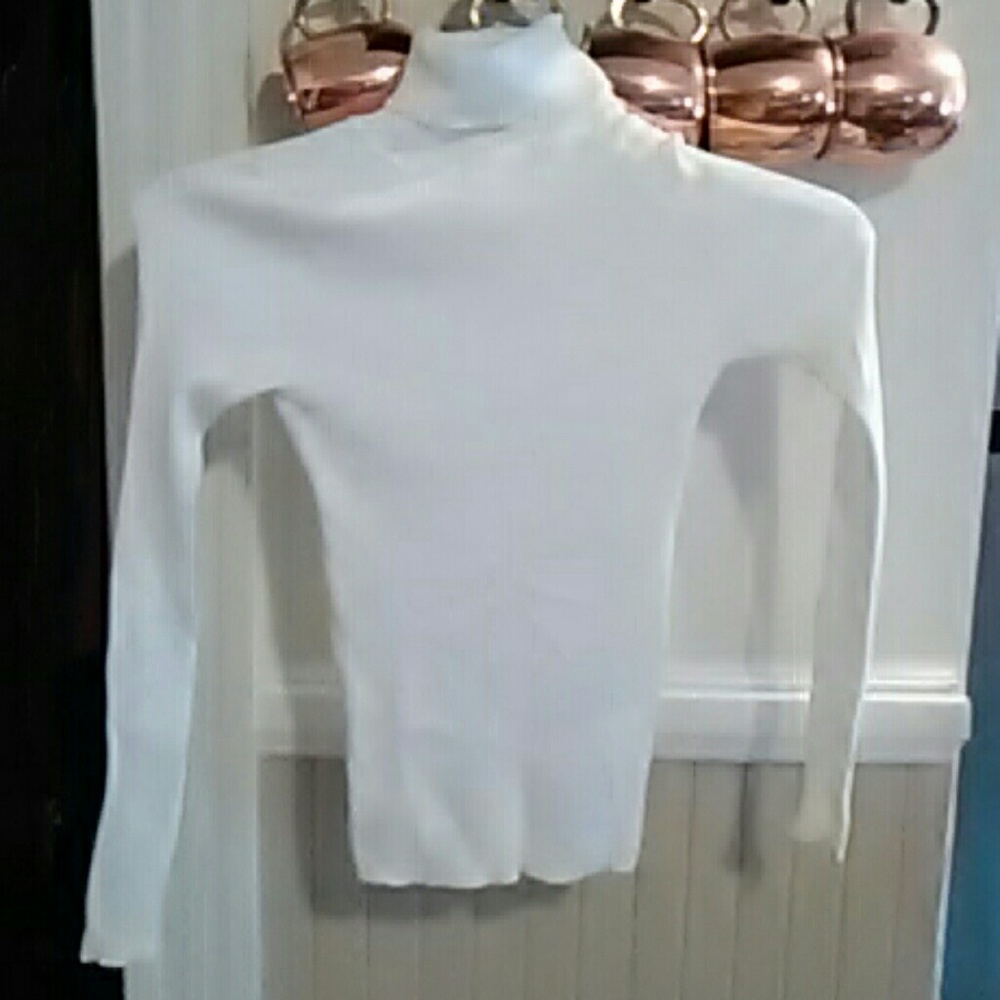 Turtle sweater
