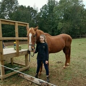 Meet your Posher, Haley