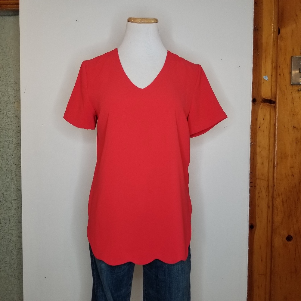 41Hawthorne Structured Top with Scalloped Cut