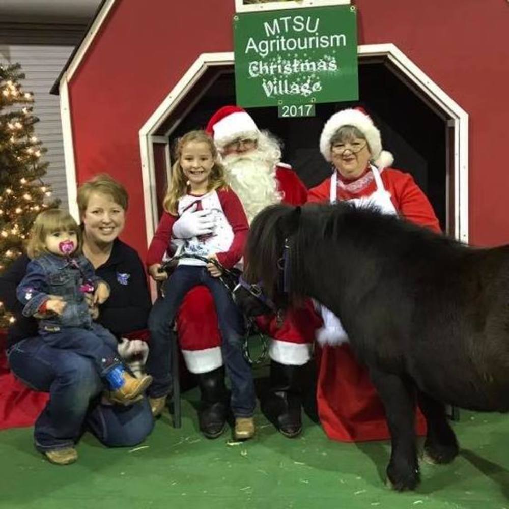 Meet your Posher, Holly