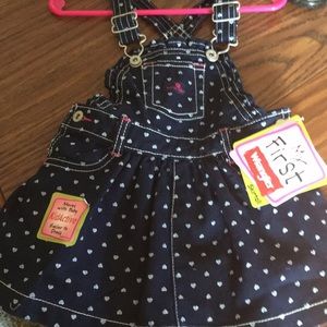 Little girl wrangler dress