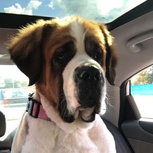 Meet your Posher, Jenna