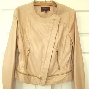 Ann Taylor Leather Jacket