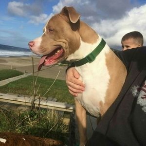 Meet your Posher, Jackie