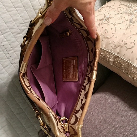 COACH ZOE HOBO, Sparkle Leather bag, NWOT❣️ - Picture 4 of 6