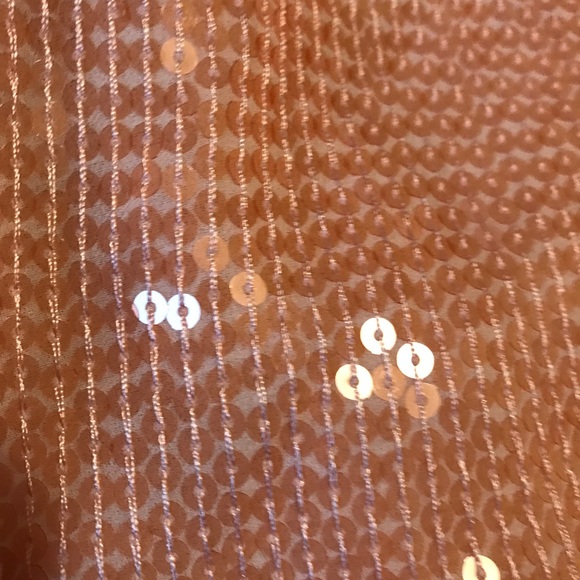 Free People Sequin Blouse in Blush S NWOT - Picture 3 of 7