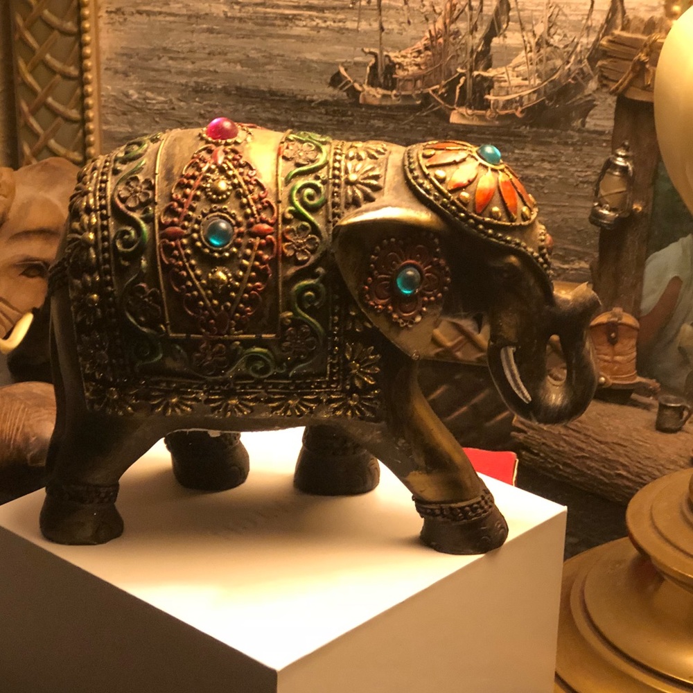 Jewel 💎 Elephant and Photography