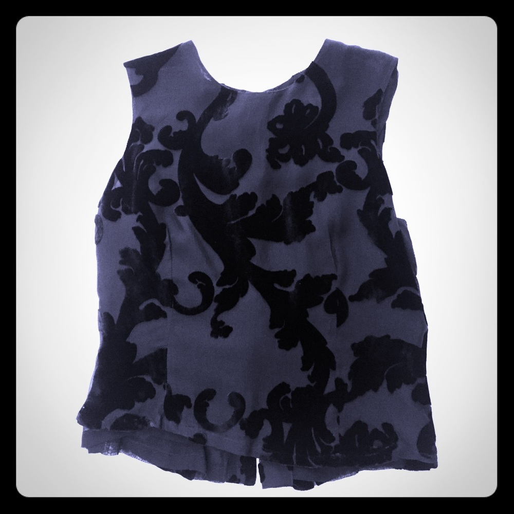 Vintage sheer top with and velvet detailing